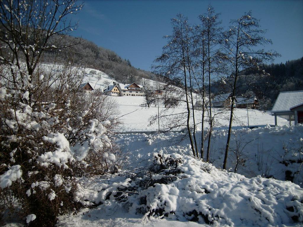 Finken, Gaestezimmer An Der Rench Oppenau Bagian luar foto
