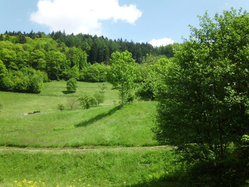 Finken, Gaestezimmer An Der Rench Oppenau Bagian luar foto