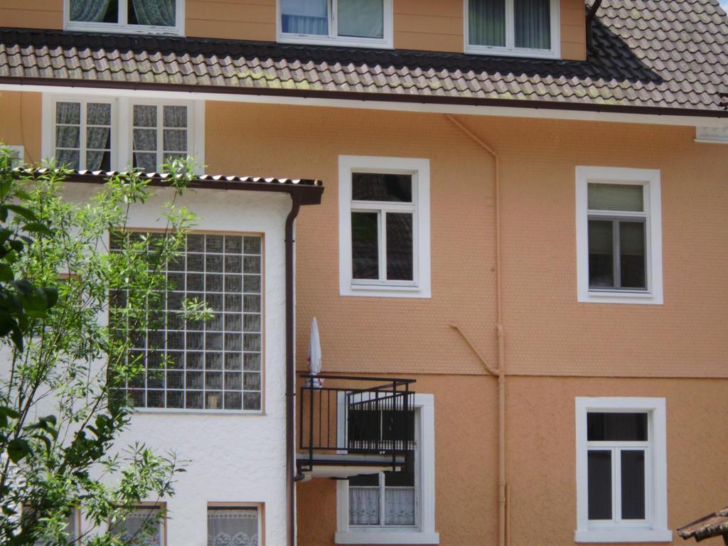 Finken, Gaestezimmer An Der Rench Oppenau Bagian luar foto